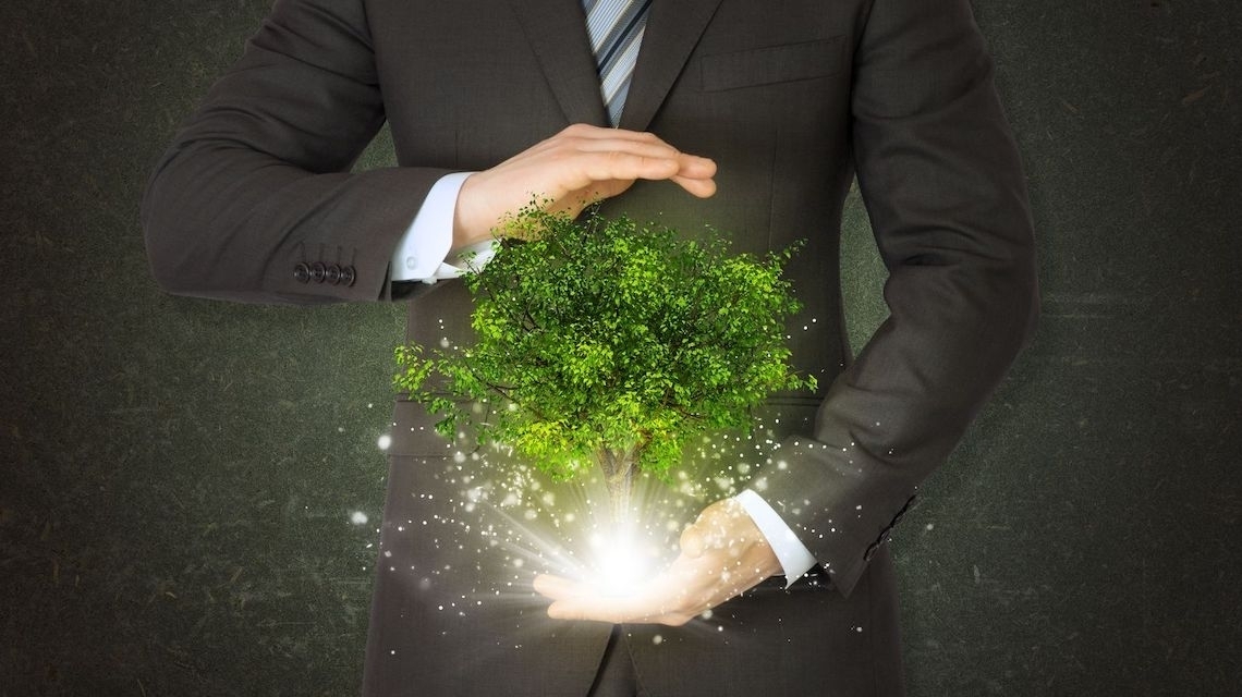 Executivos acredita que a sustentabilidade contribui para o crescimento
