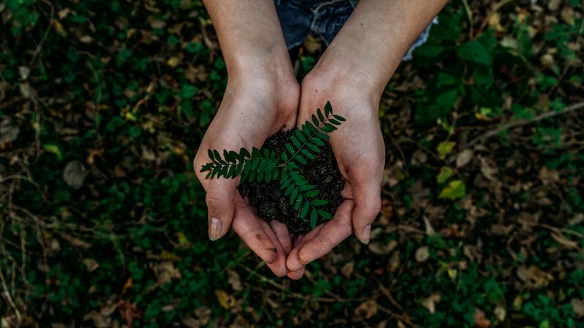 Empresas planeiam gastar menos de 2% das receitas em iniciativas de sustentabilidade e descarbonização