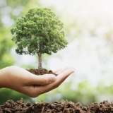 Eco-Oil evitou a emissão de cerca de 60 mil toneladas de CO2 em 2024