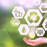 Sustentabilidade é diferenciador competitivo na escolha de fornecedores de IT