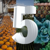 Agricultura é uma das áreas que vai beneficiar da tecnologia