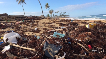 SAP quer diminuir poluição nos oceanos