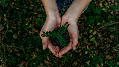 Seminário Internacional de Sustentabilidade junta Portugal e Brasil em debate sobre biodiversidade e desafios climáticos