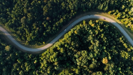 Quatro razões pelas quais os biocombustíveis avançados ajudam a preservar a natureza