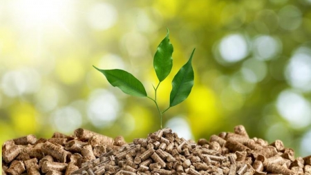 Espanha: aquecimento a biomassa reduz emissões em 40%