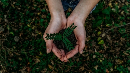 Empresas acreditam que Quality Engineering pode ajudar sustentabilidade ambiental das TI