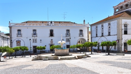 Sessão inaugural do BioImpacte+ junta energia solar e biodiversidade em Monforte