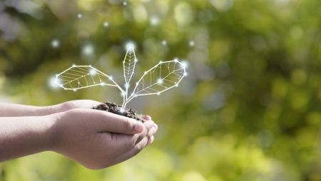 Agricultura carece de apoio à digitalização