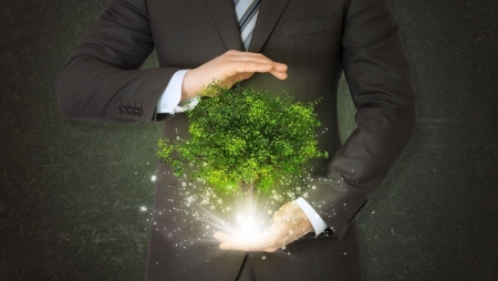 Executivos acredita que a sustentabilidade contribui para o crescimento