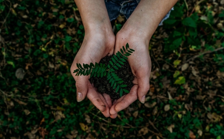 Lançado primeiro projeto de produção de biometano em Portugal a partir de subprodutos agroindustriais