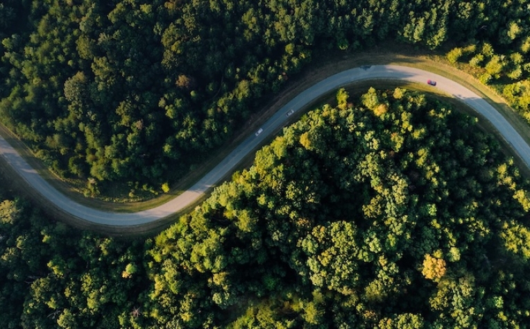 Quatro razões pelas quais os biocombustíveis avançados ajudam a preservar a natureza