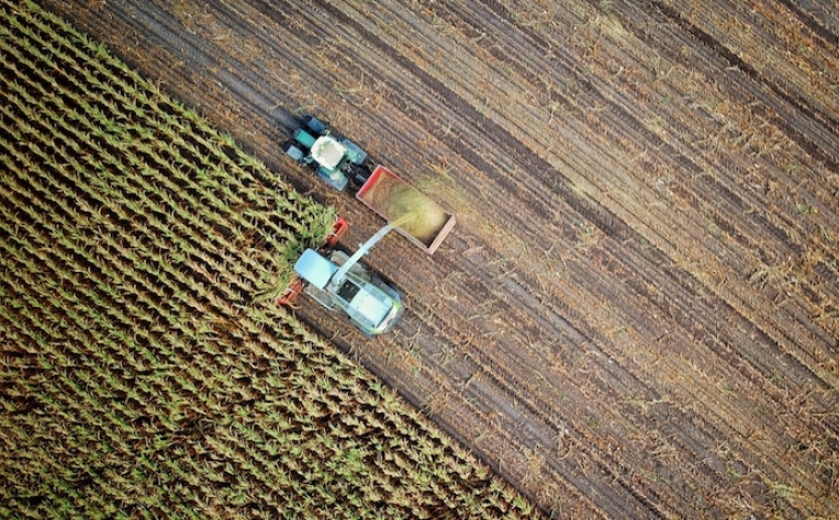 IBM lança serviços digitais para agricultores