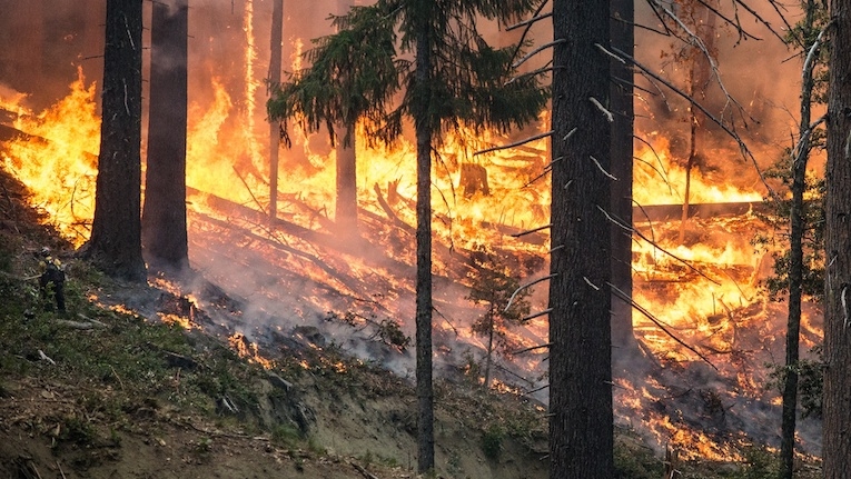 Sistema de deteção de incêndios mais avançado da Europa